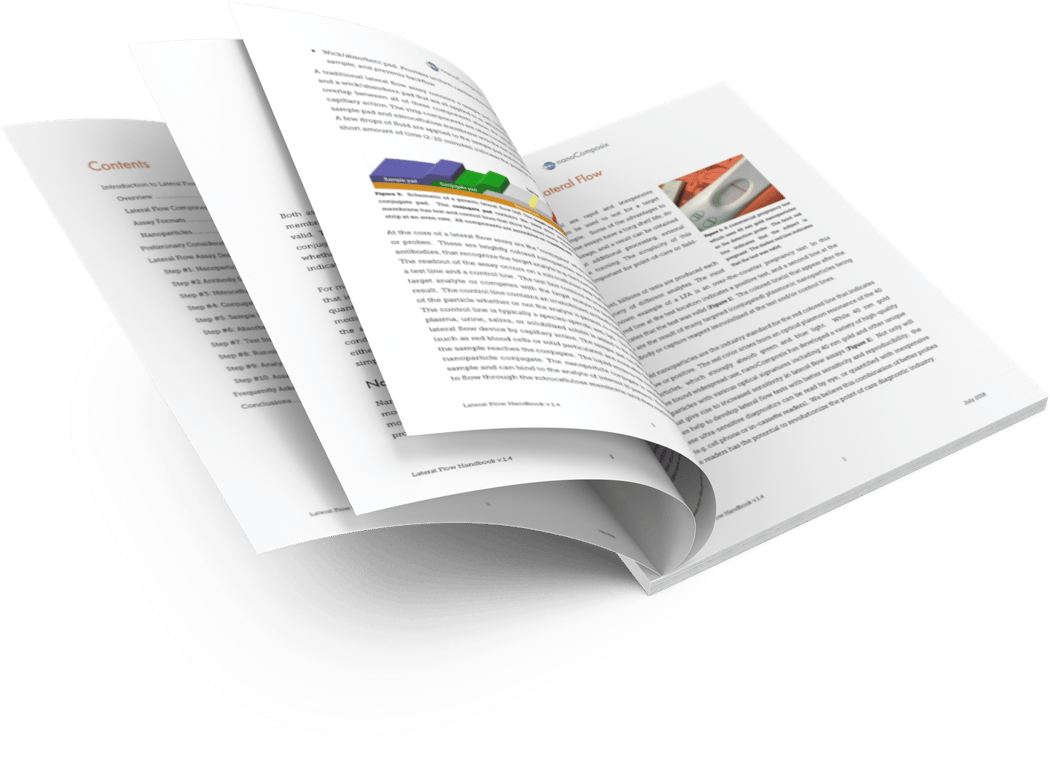 Lateral Flow Assay Meaning